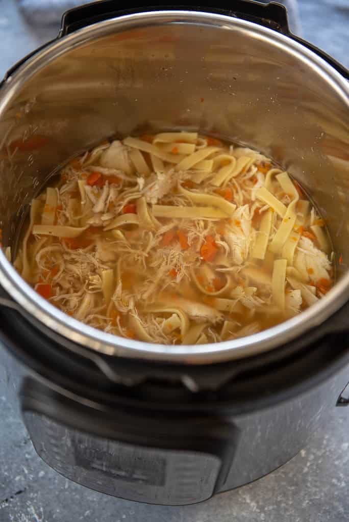 Instant Pot Chicken Noodle Soup - Garnished Plate