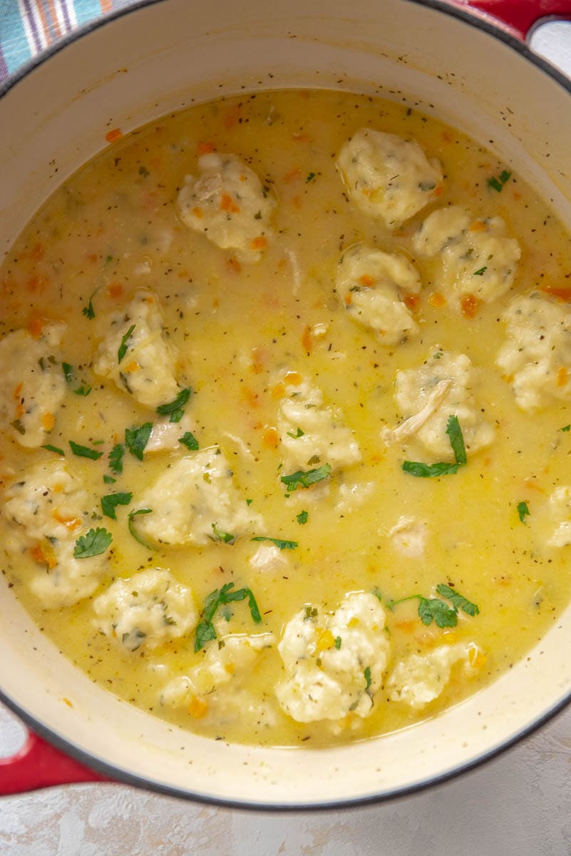 Chicken and Dumplings Soup Recipe Oven chicken recipes, Chicken and