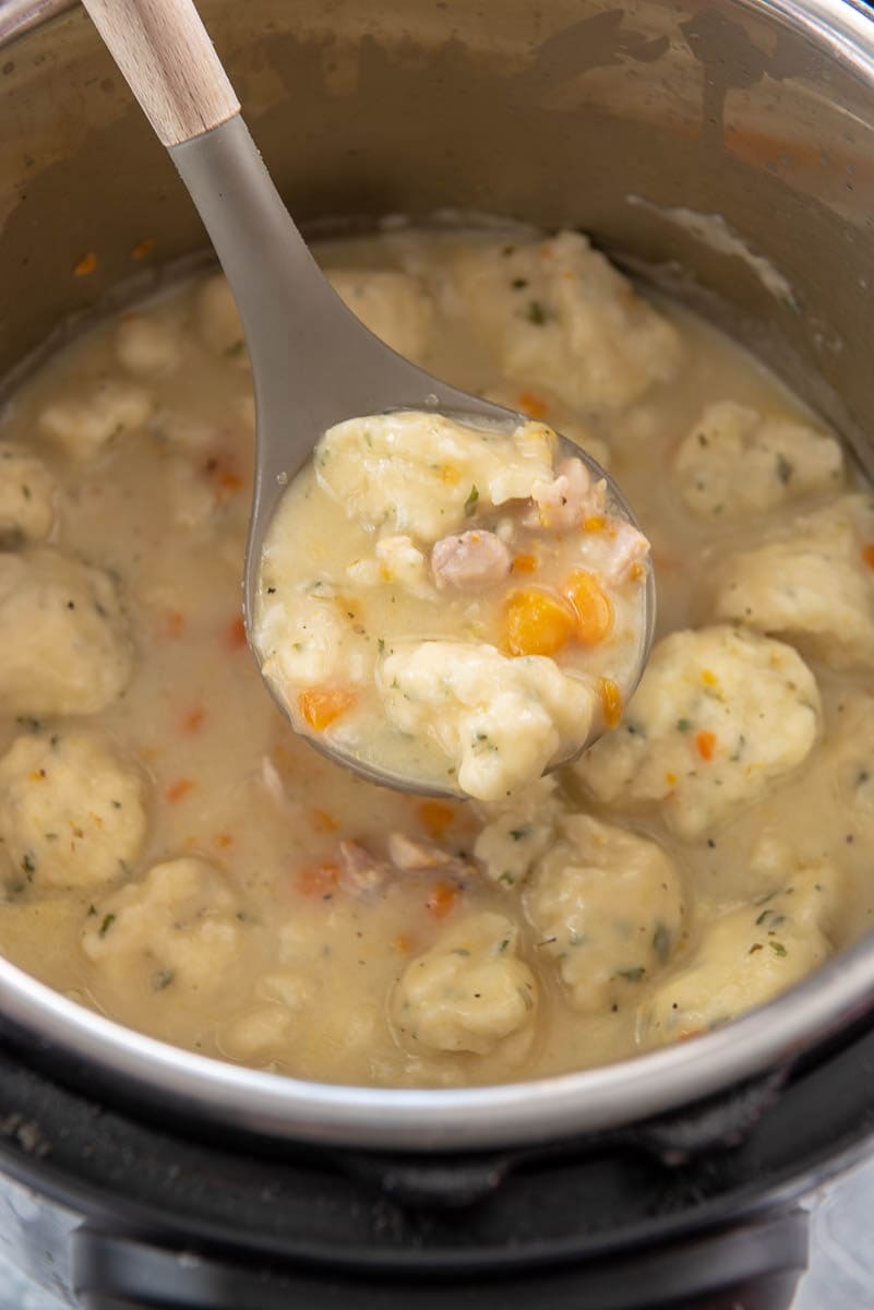 ladle full of chicken and dumplings from instant pot