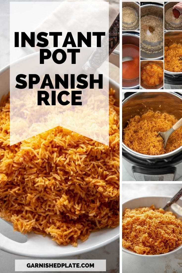Instant Pot Spanish Rice - Garnished Plate