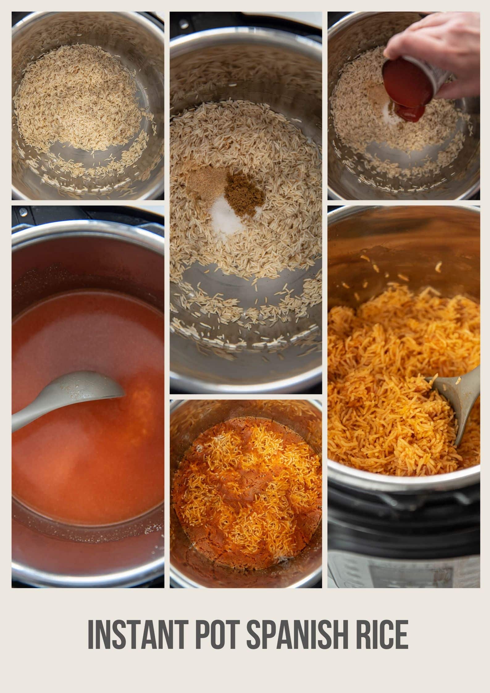 instant-pot-spanish-rice-garnished-plate