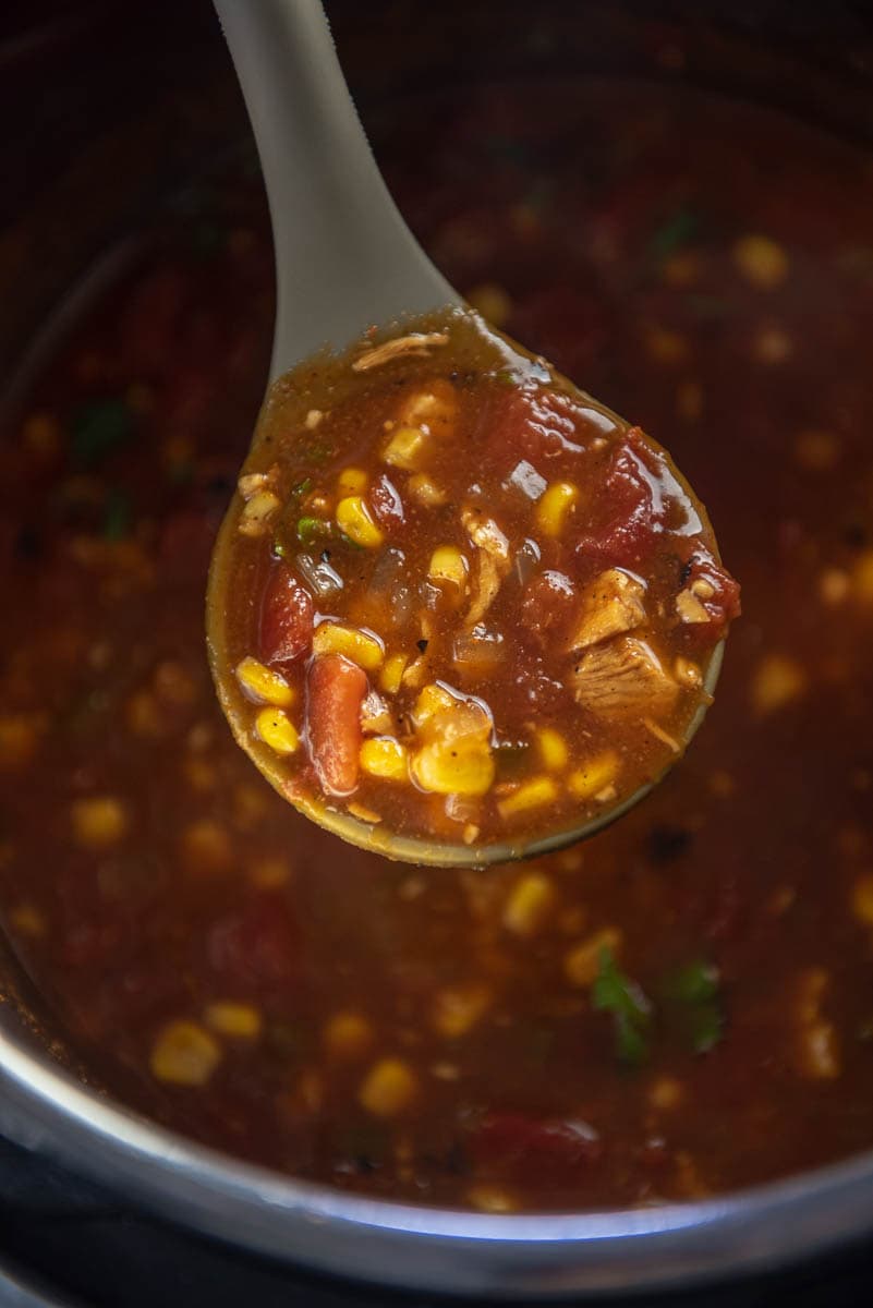 ladle full of turkey tortilla soup