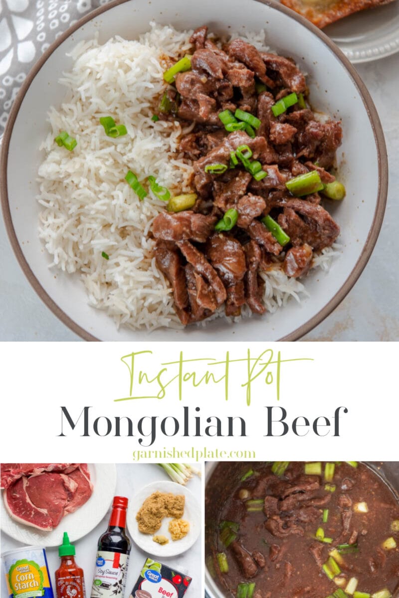 Instant Pot Mongolian Beef - Garnished Plate