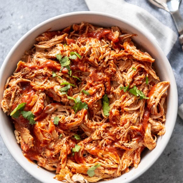 Instant Pot BBQ Chicken - Garnished Plate