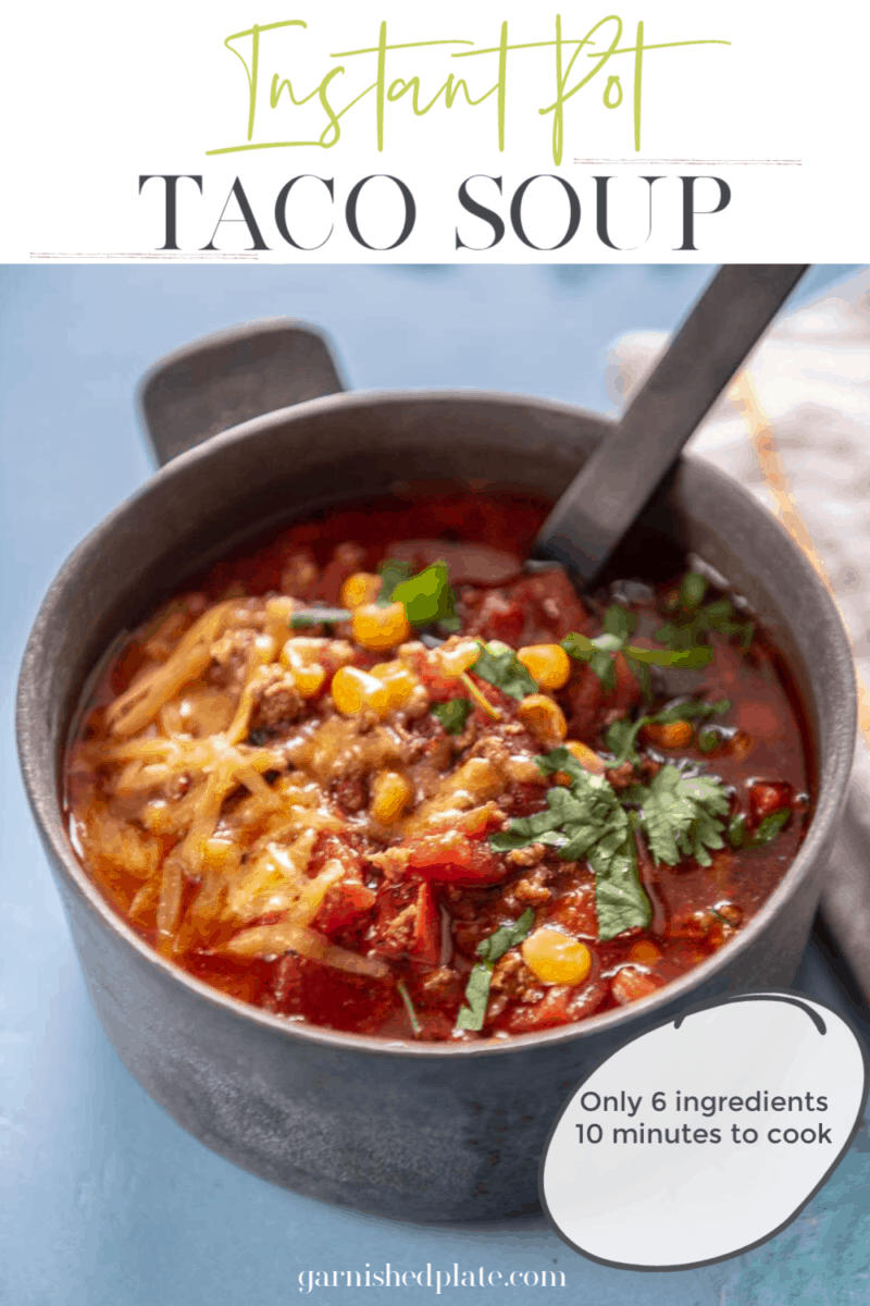 Instant Pot Taco Soup - Garnished Plate