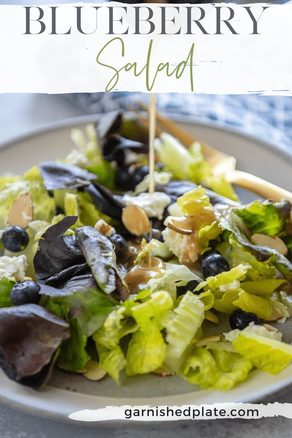 Blueberry Salad - Garnished Plate