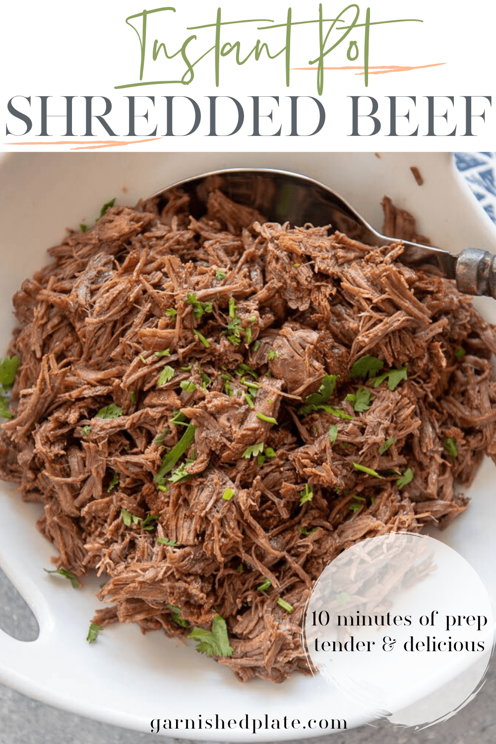 Instant Pot Shredded Beef - Garnished Plate