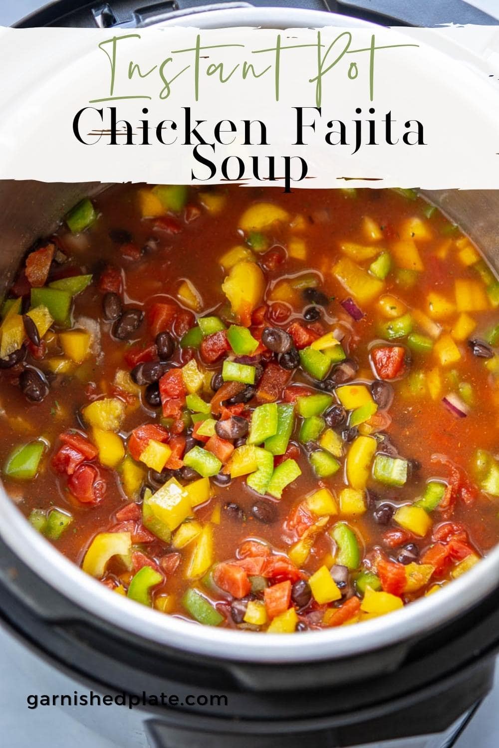 Instant Pot Chicken Fajita Soup Garnished Plate