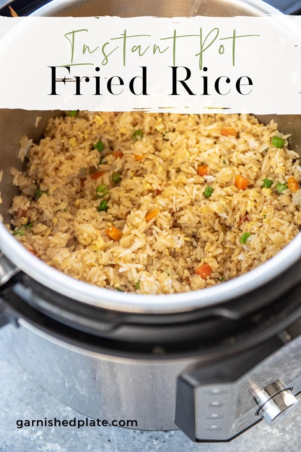 Instant Pot Fried Rice - Garnished Plate