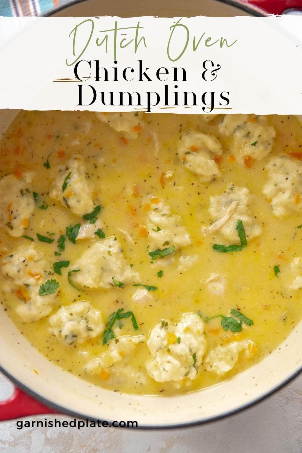 Dutch Oven Chicken and Dumplings Garnished Plate