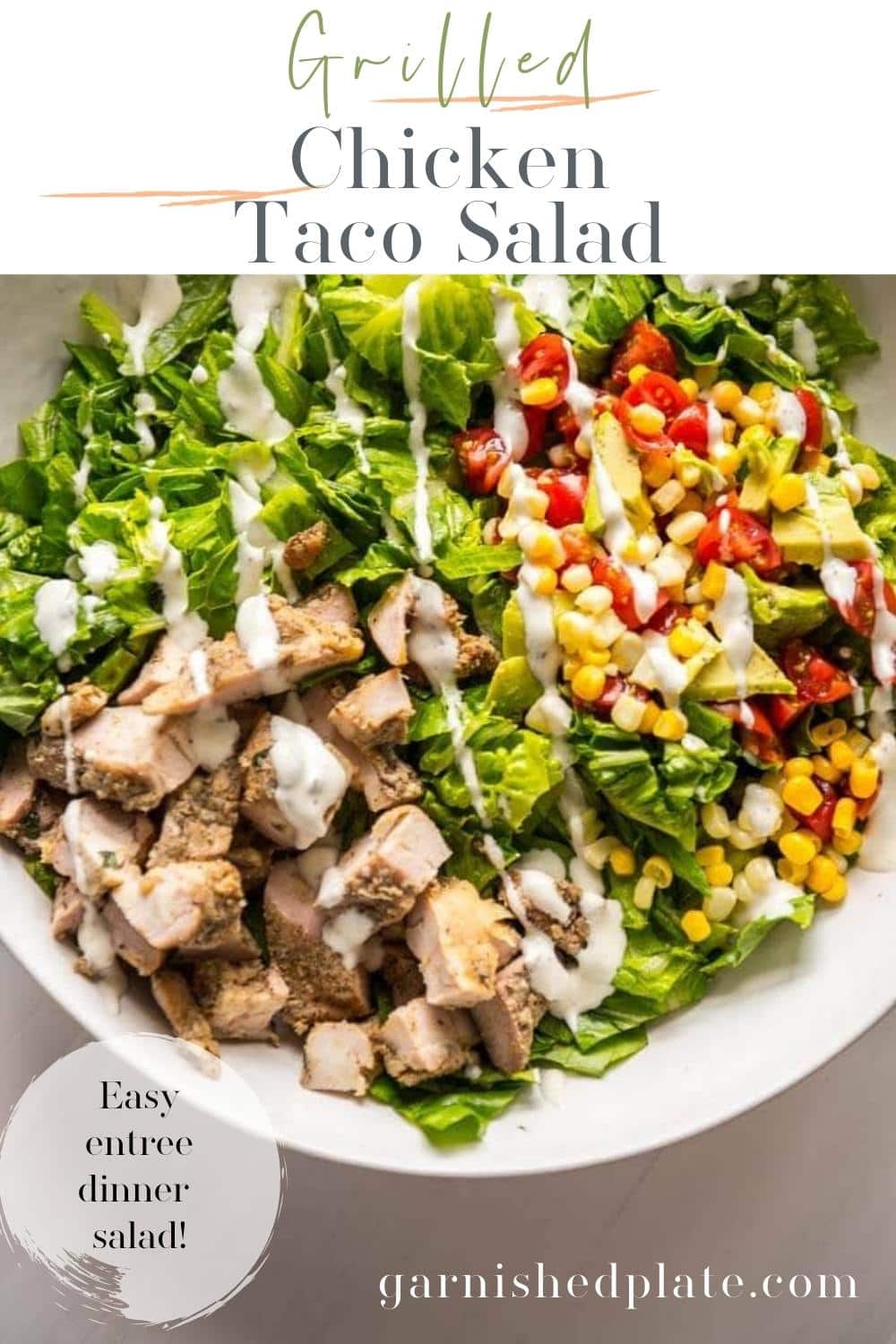 Grilled Chicken Taco Salad - Garnished Plate