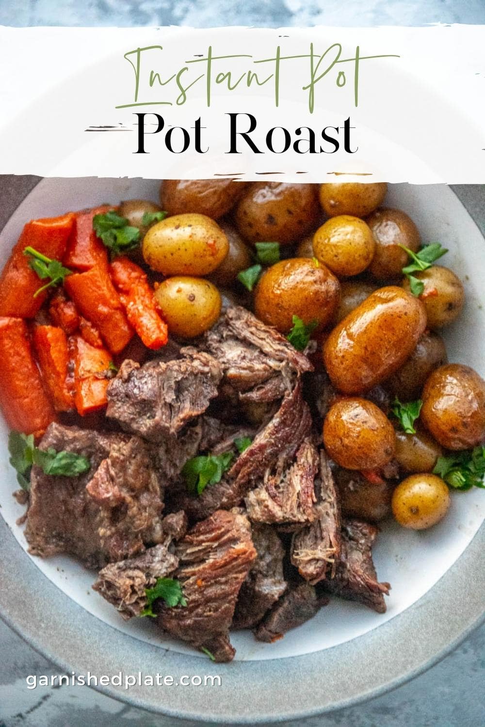 Instant Pot Pot Roast - Garnished Plate