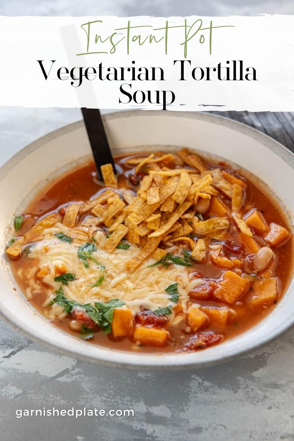 Instant Pot Vegetarian Tortilla Soup - Garnished Plate