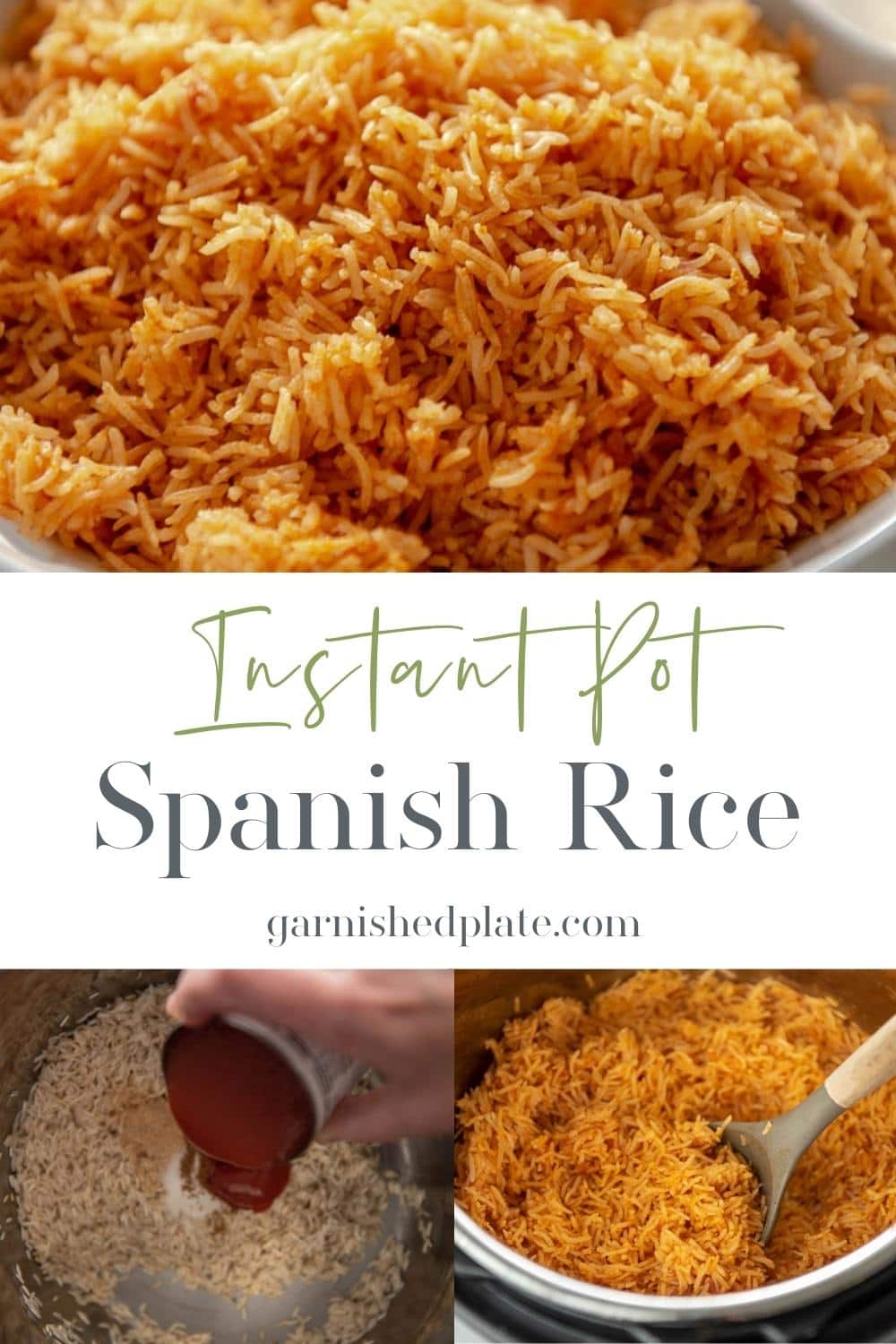 Instant Pot Spanish Rice Garnished Plate