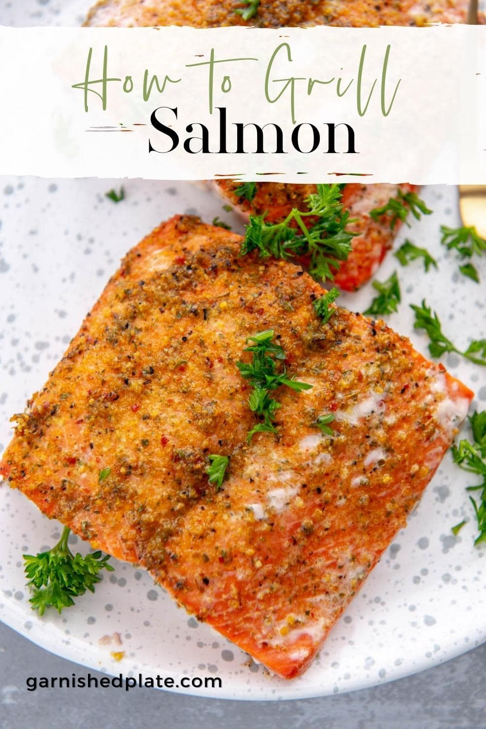 How to Grill Salmon - Garnished Plate