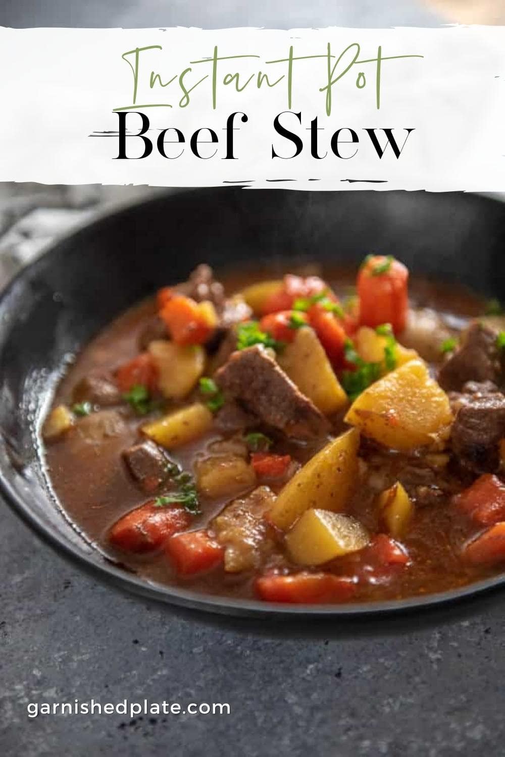 Instant Pot Beef Stew - Garnished Plate