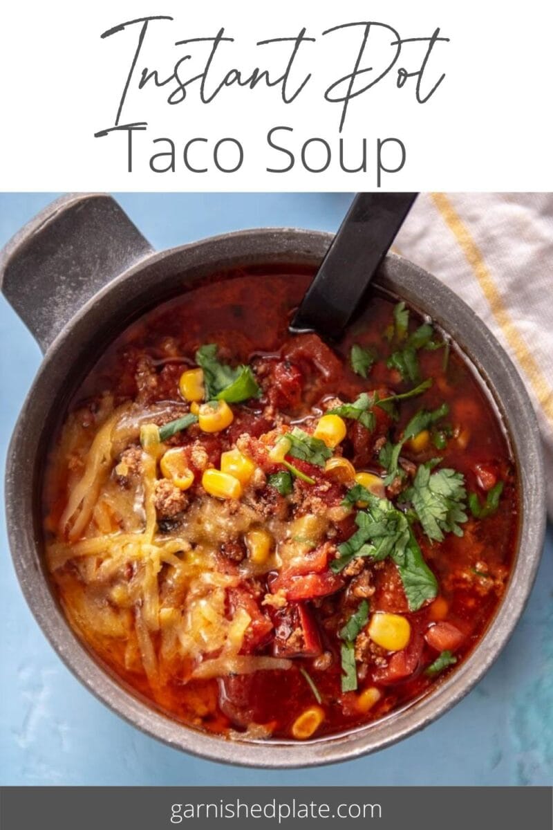 5 Ingredient Taco Soup - Foodie With Family