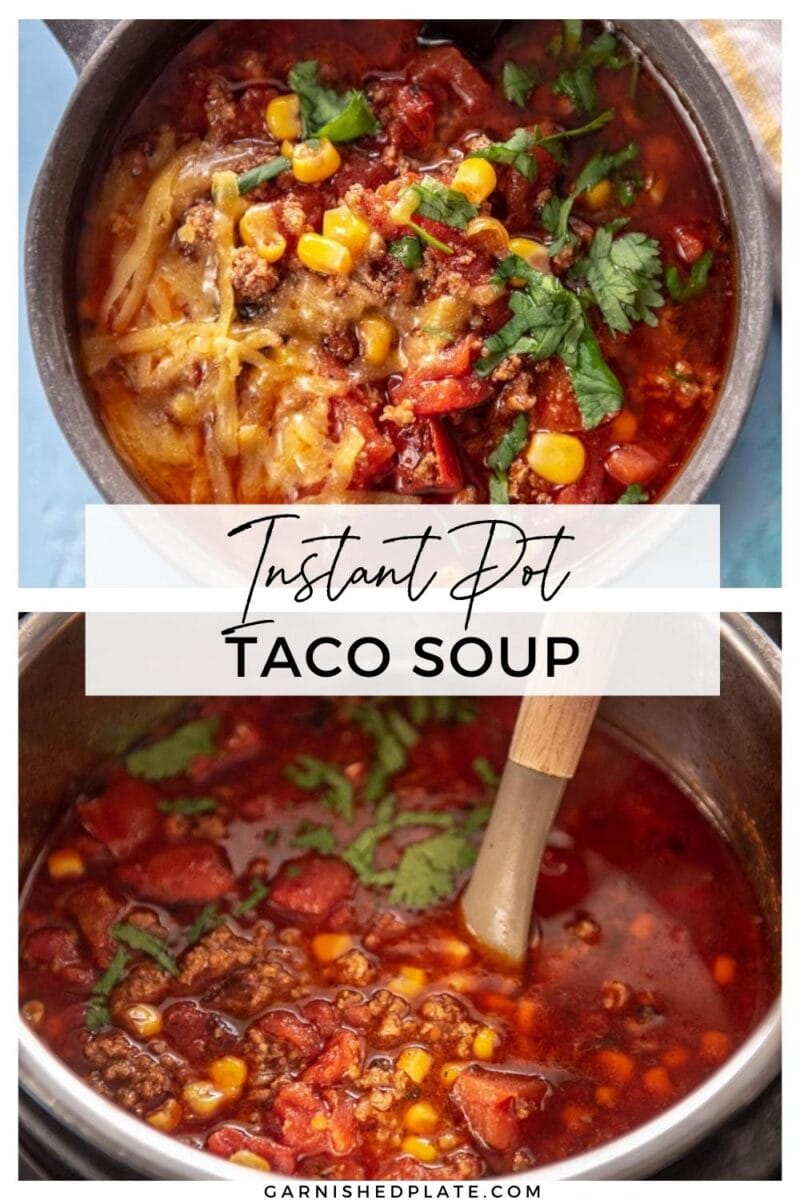Instant Pot Taco Soup - Garnished Plate