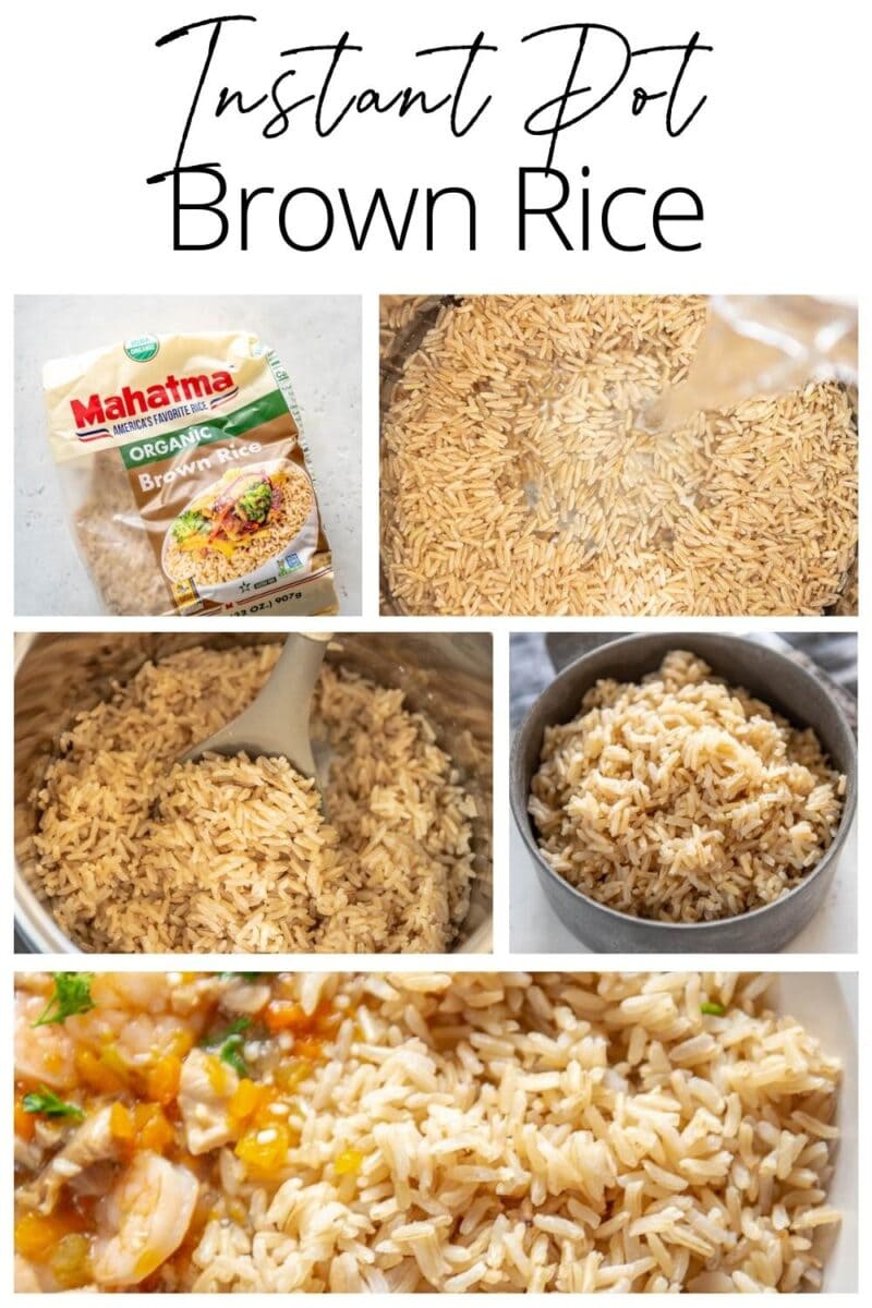 Instant Pot Brown Rice - Garnished Plate