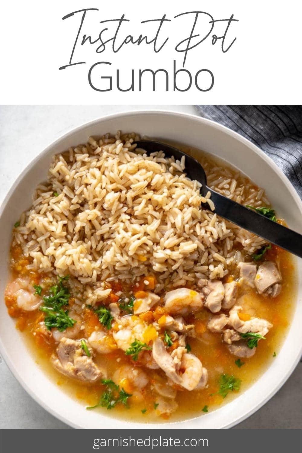 Instant Pot Gumbo - Garnished Plate