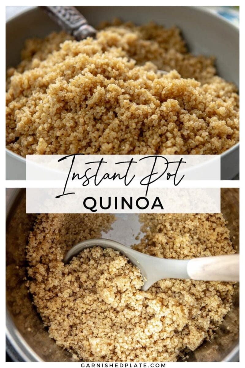 Instant Pot Quinoa - Garnished Plate