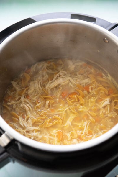 Instant Pot Chicken Noodle Soup - Garnished Plate
