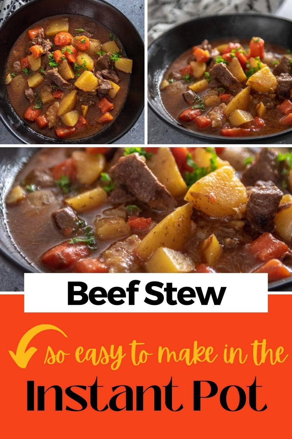 Instant Pot Beef Stew - Garnished Plate