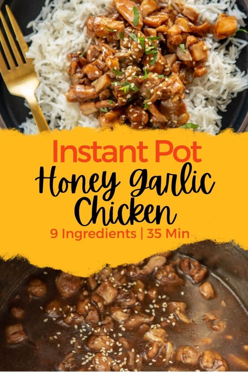 Instant Pot Honey Garlic Chicken - Garnished Plate