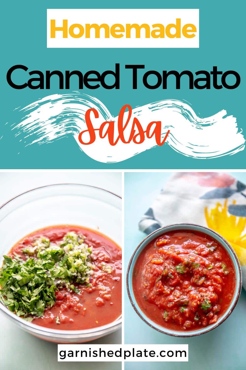 Canned Tomato Salsa - Garnished Plate