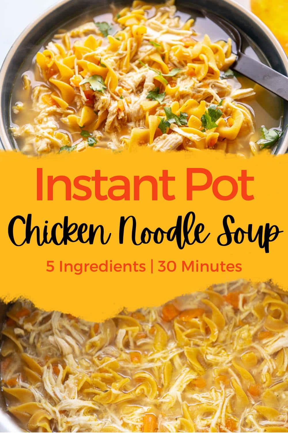 Instant Pot Chicken Noodle Soup - Garnished Plate