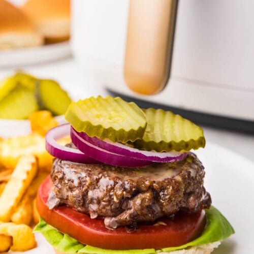Burger served with tomato, ketchup, red onion, lettuce and no top bun