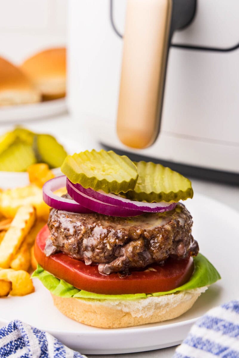 Burger served with tomato, ketchup, red onion, lettuce and no top bun