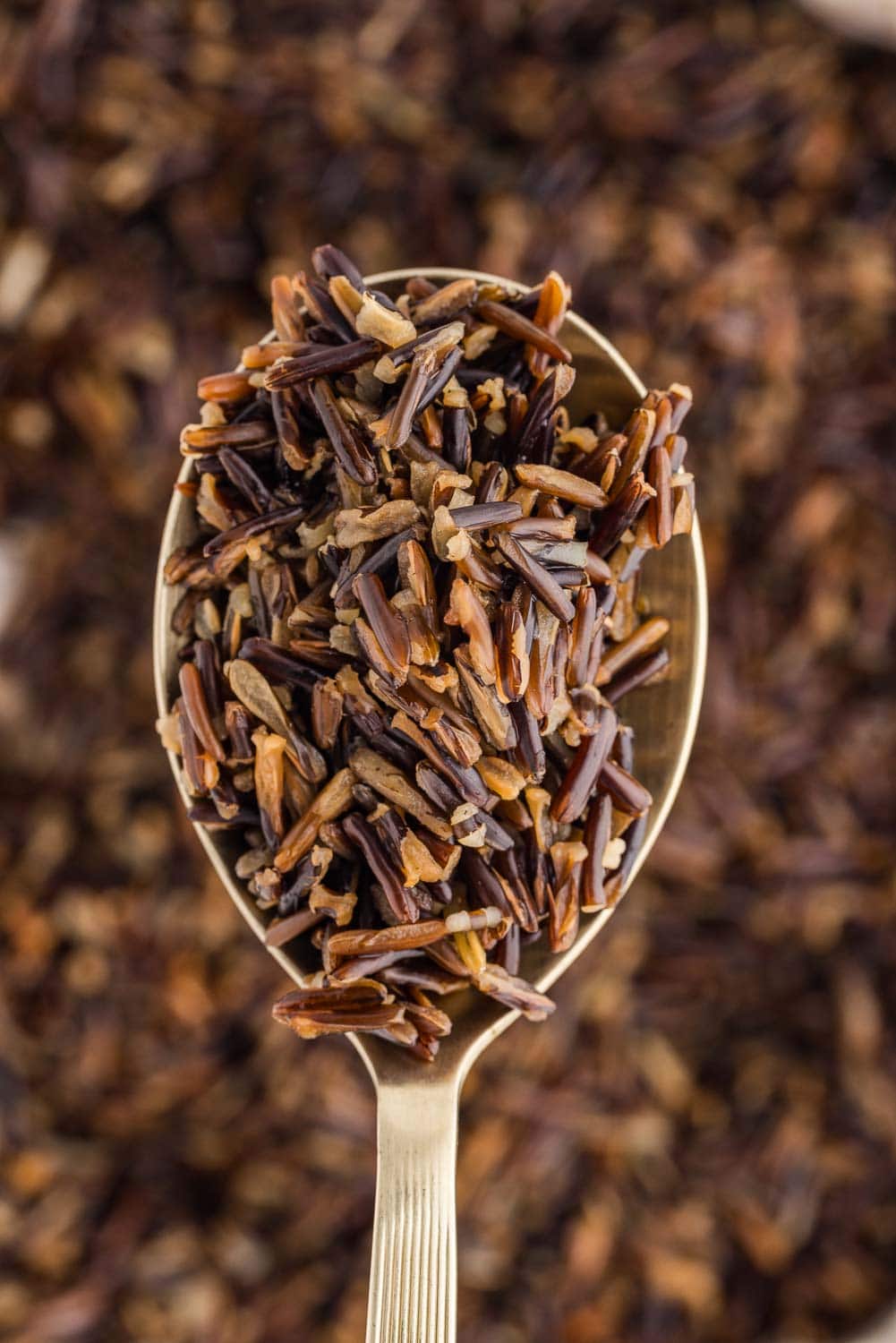 Close up of Instant Pot Wild Rice being scooped up