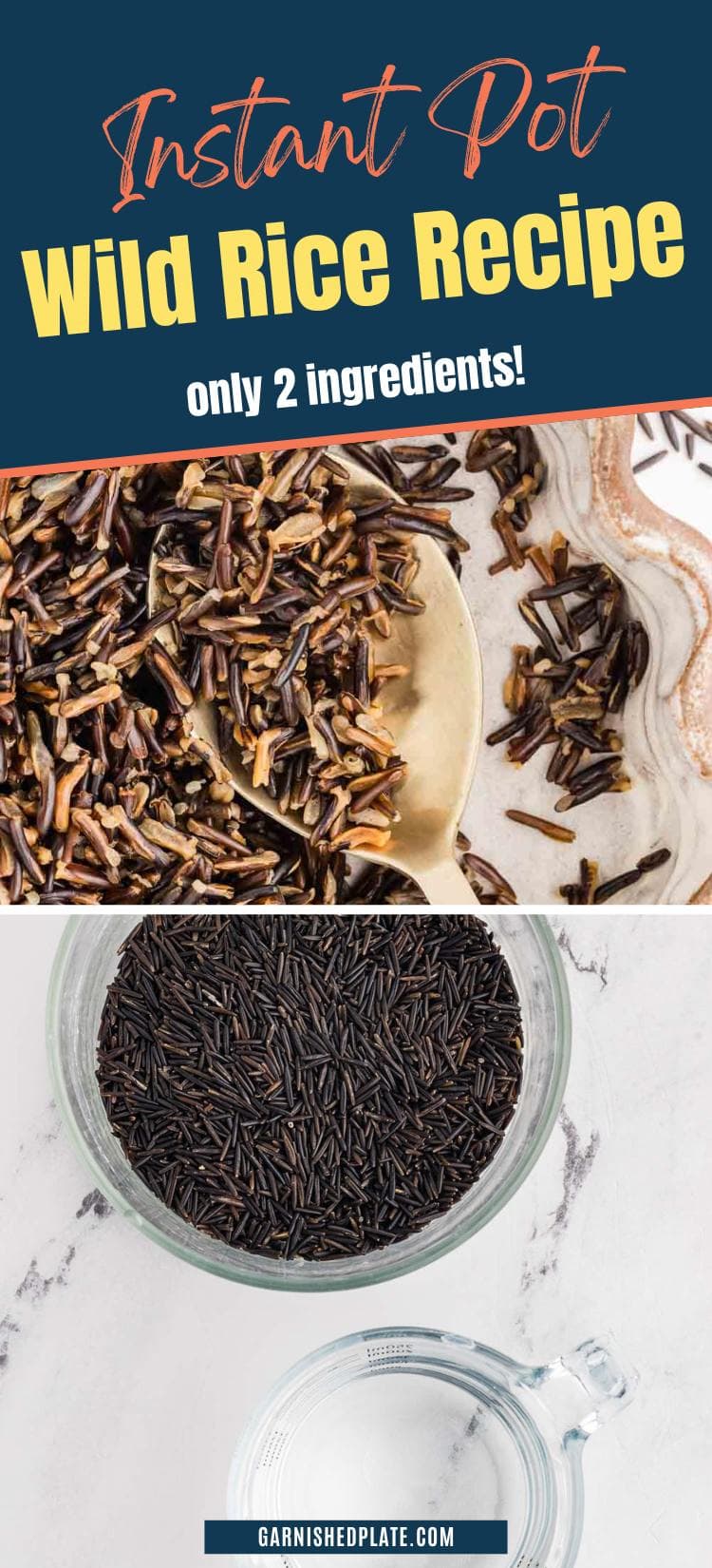 Instant Wild Rice Instant Pot Wild Rice Recipe - Garnished Plate