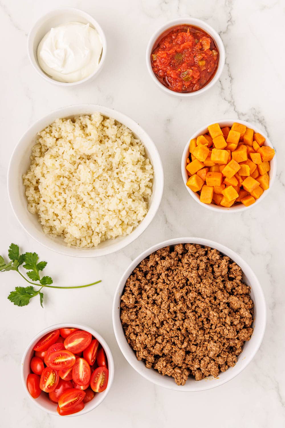 bowl of rice, taco meat, tomatoes, butternut squash, salsa, and sour cream on counter