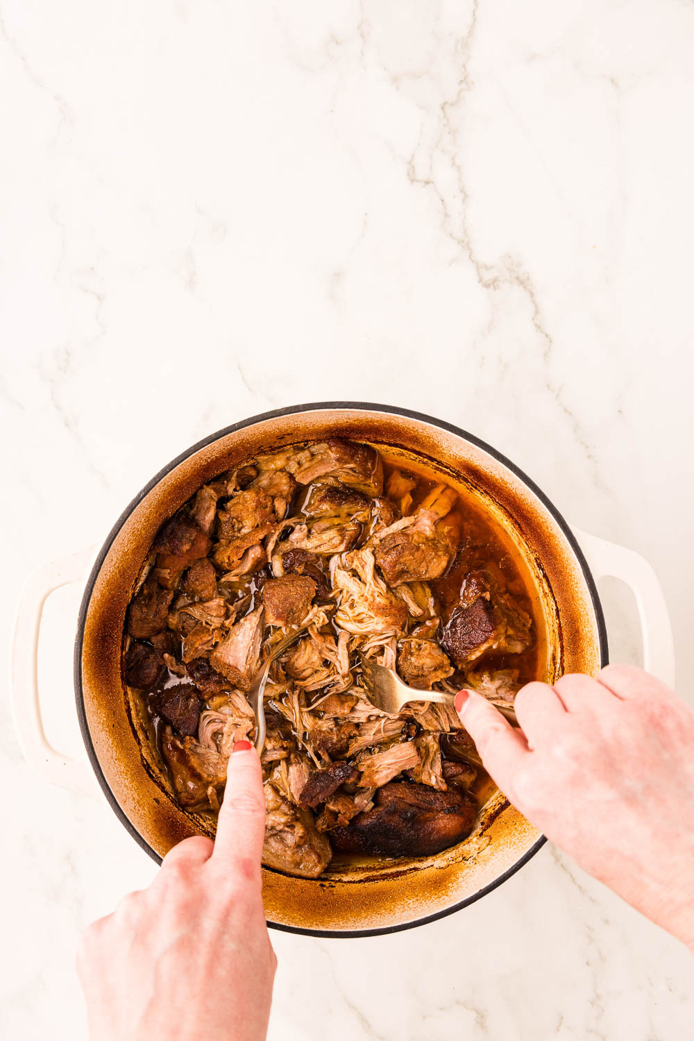 Dutch Oven Pulled Pork Recipe being shredded by 2 forks