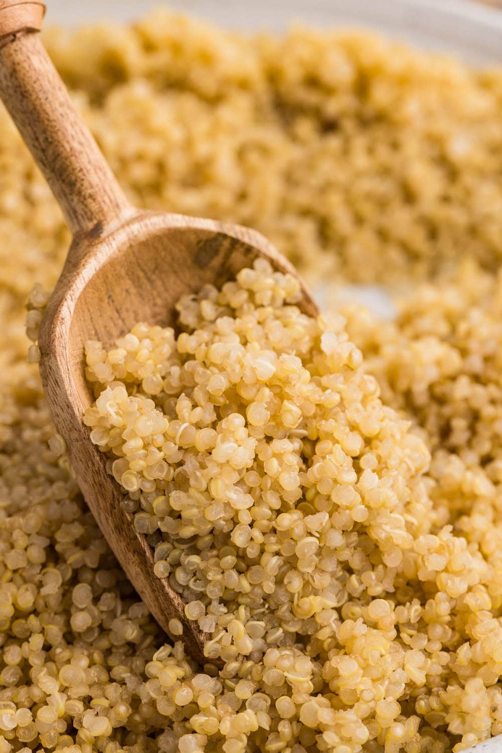 Wood scoop of fluffy quinoa
