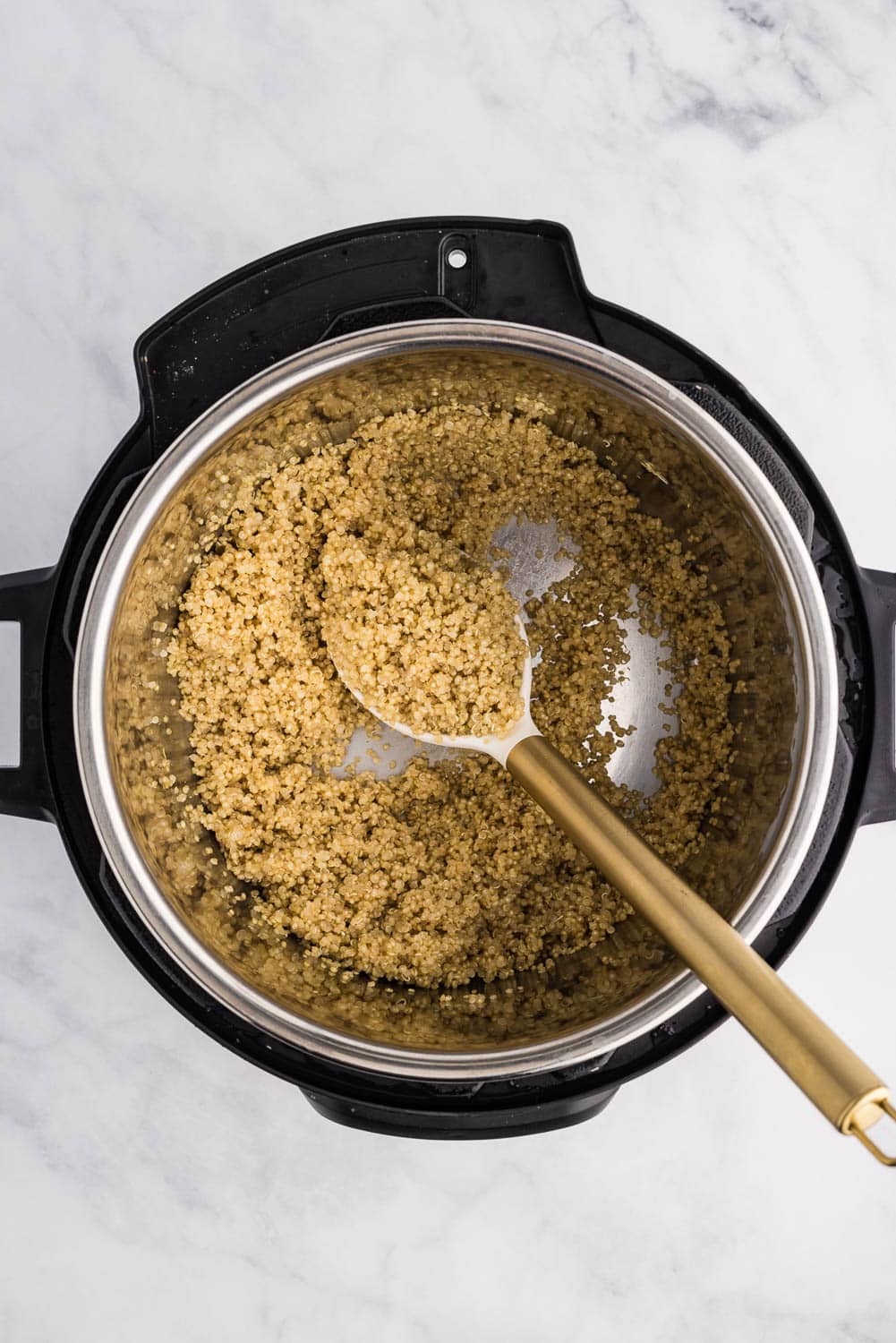 instant pot with quinoa
