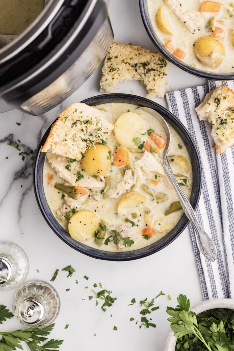 Creamy Instant Pot Chicken Stew
