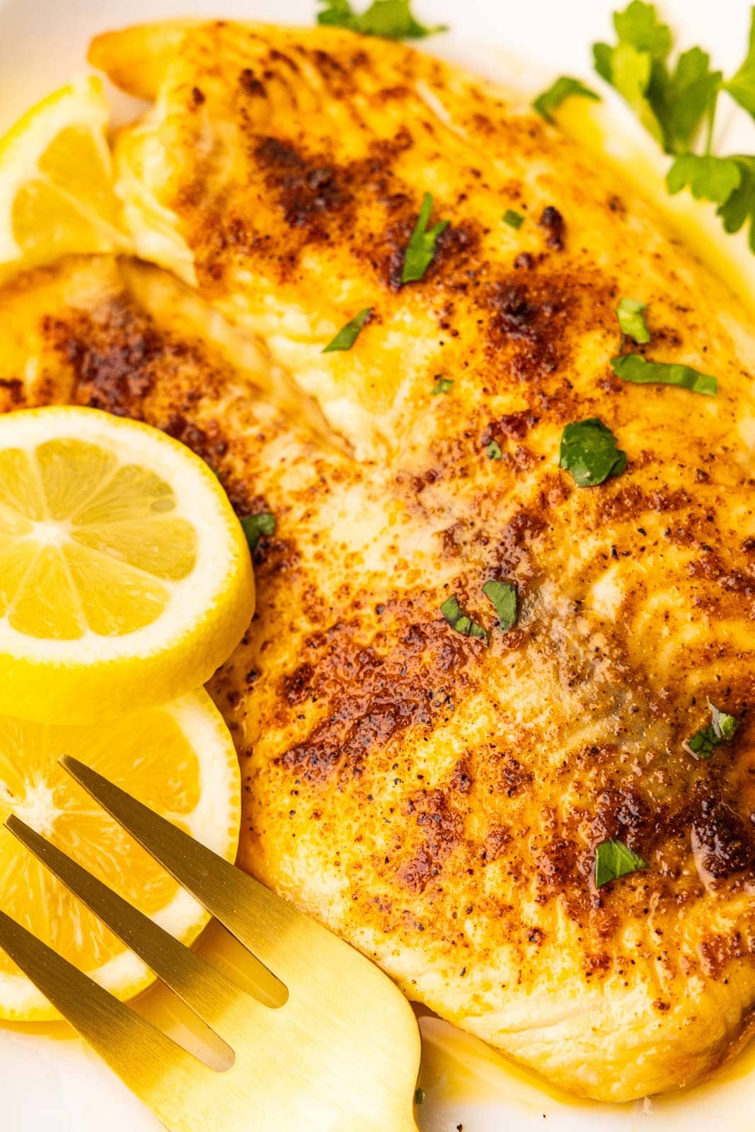 closeup of tilapia filet on white plate with lemon slices and parsley snips and gold fork