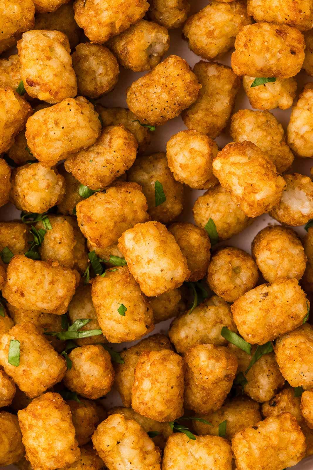 closeup of air fried tater tots garnished with parsley
