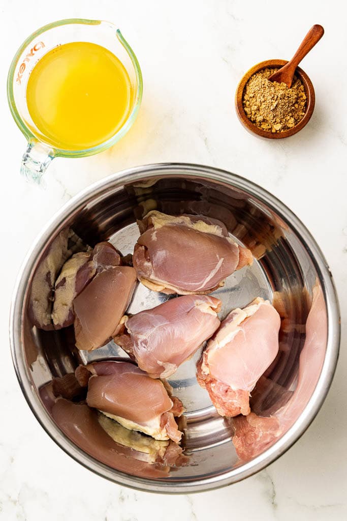 ingredients to include instant pot with chicken thighs with container chicken and taco seasoning